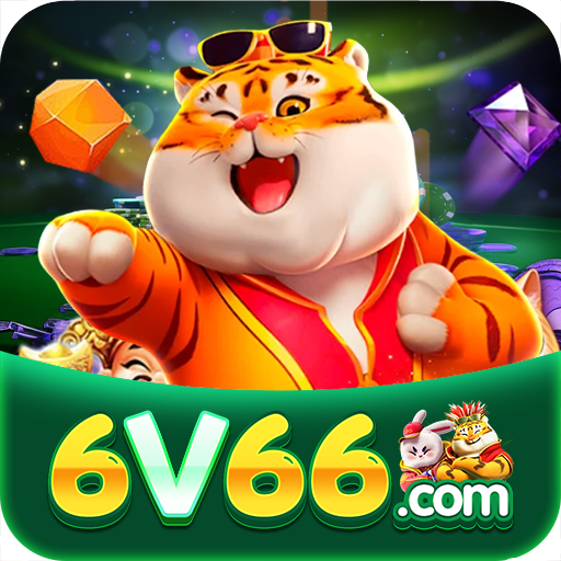 6v66.COM